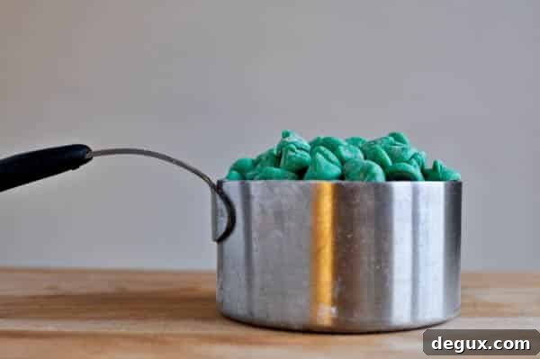 chocmint-1 img 11779 2