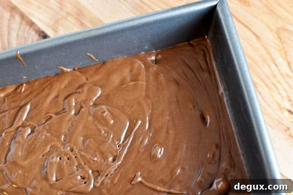 chocmint-6 img 11779 6