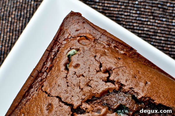 chocmint-7 img 11779 7