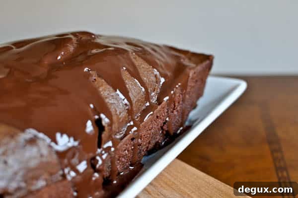 chocmint-8 img 11779 8