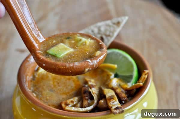 Easy One Pot Tortilla Soup