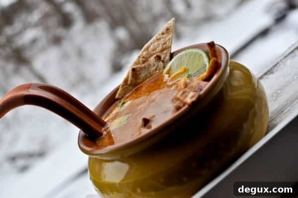 Easy One Pot Tortilla Soup