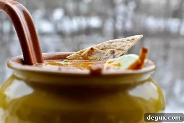 Easy One Pot Tortilla Soup