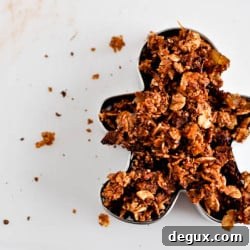 Chocolate Gingerbread Granola