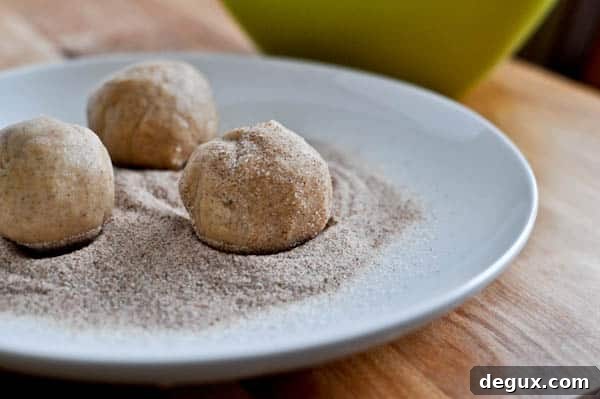 Fat Fluffy Snickerdoodles I howsweeteats.com