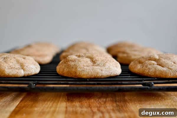 Fat Fluffy Snickerdoodles I howsweeteats.com