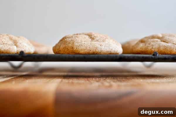 Fat Fluffy Snickerdoodles I howsweeteats.com