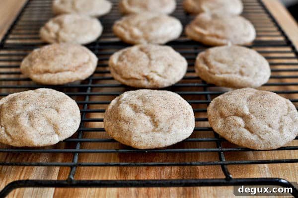 Fat Fluffy Snickerdoodles I howsweeteats.com