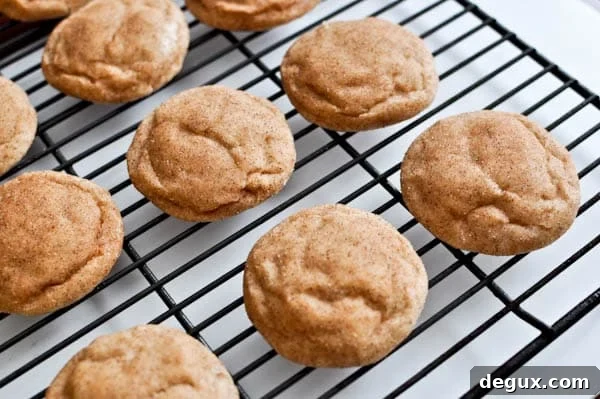 Fat Fluffy Snickerdoodles I howsweeteats.com