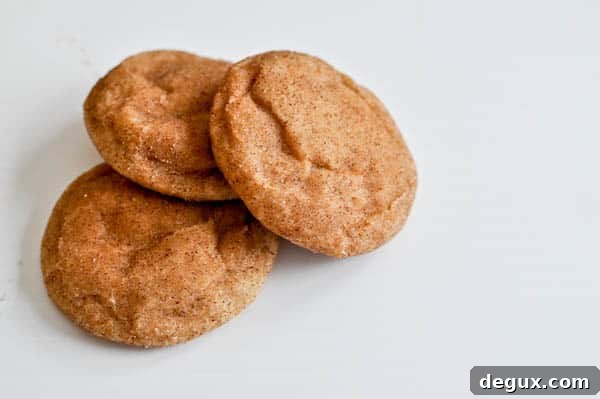 Fat Fluffy Snickerdoodles I howsweeteats.com