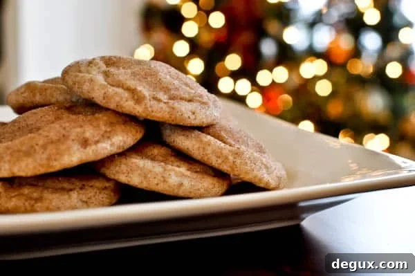 Fat Fluffy Snickerdoodles I howsweeteats.com