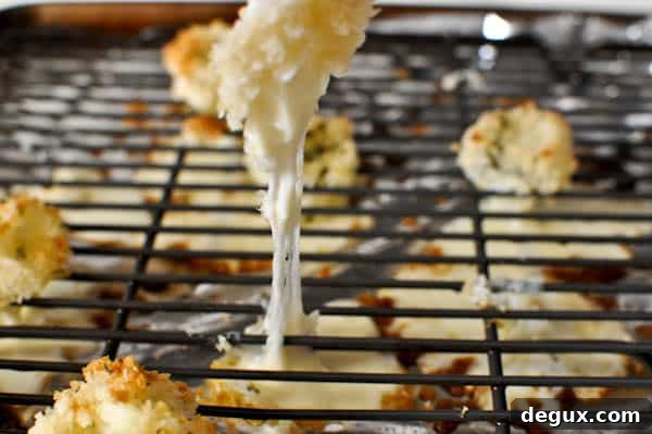 burnt mozzarella balls