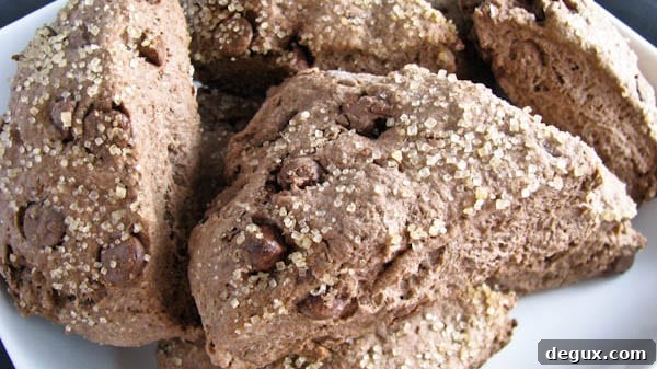 dry chocolate scones