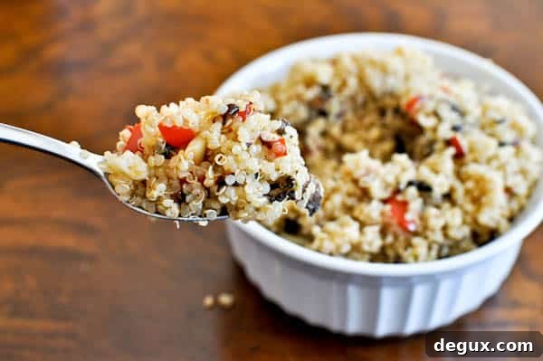 Plated quinoa close-up