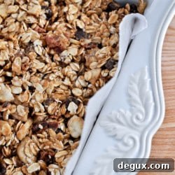 Elvis-Inspired Peanut Butter & Banana Granola Bar Recipe 2 img 12916 6