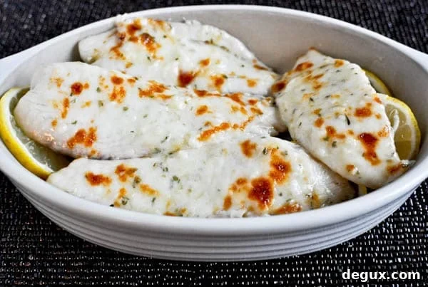 tilapia-4 img 13470 4