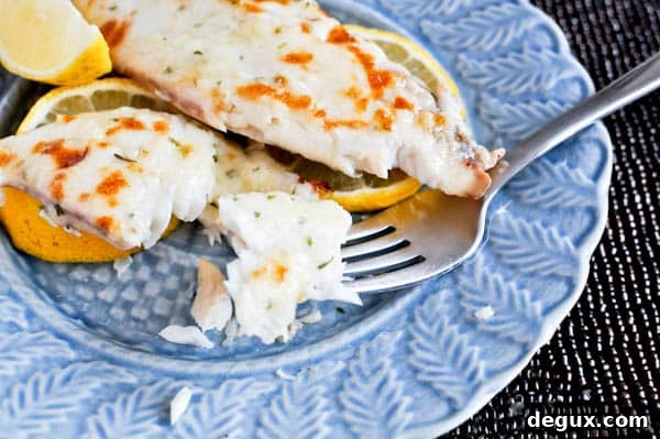 tilapia-6 img 13470 6