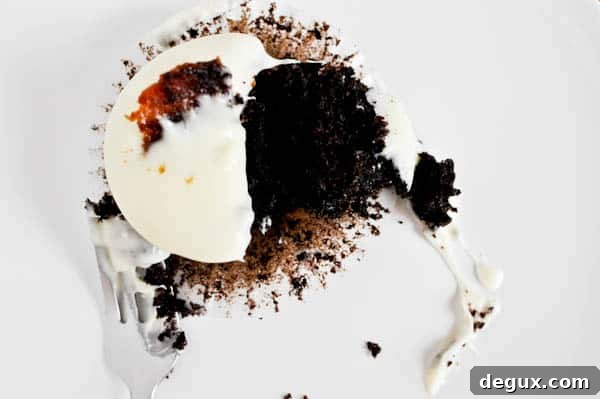 darkchoc-9 img 13804 9