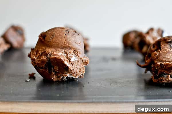 Double Fudge Oreo Crunch Cookies Double Fudge Oreo Crunch Cookies