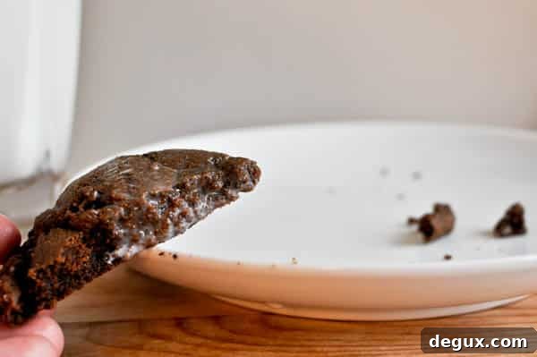 Double Fudge Oreo Crunch Cookies Double Fudge Oreo Crunch Cookies