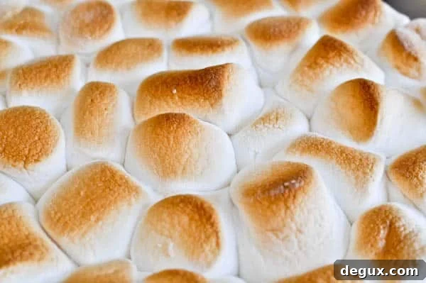 s'mores-5 s'mores