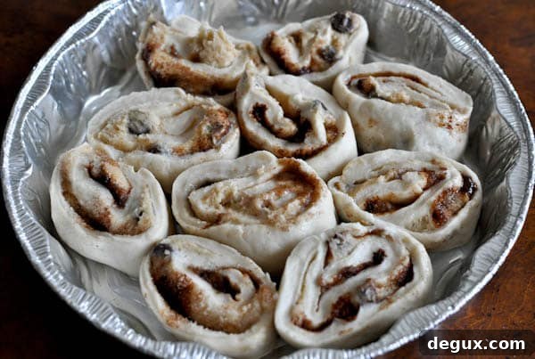 Chocolate Chip Cookie Dough Stuffed Cinnamon Rolls Chocolate Chip Cookie Dough Stuffed Cinnamon Rolls