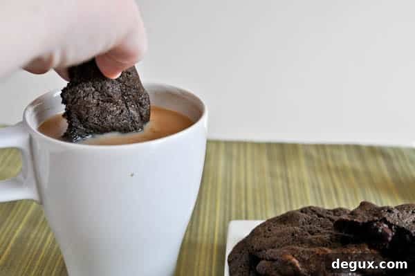 Double Fudge Irish Cream Cookies Double Fudge Irish Cream Cookies
