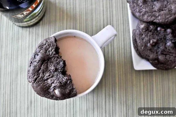 Double Fudge Irish Cream Cookies Double Fudge Irish Cream Cookies