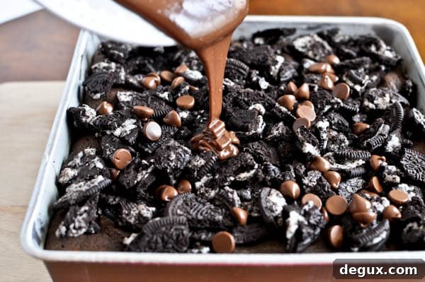 ocbrownies-2 img 14980 2