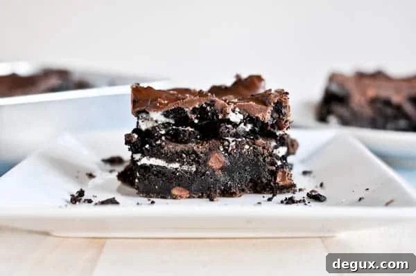 ocbrownies1-1 img 14980 3