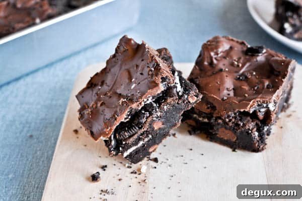 ocbrownies1-2 img 14980 4