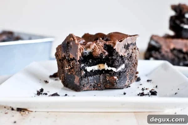 ocbrownies1-3 img 14980 5