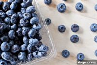 Blueberry Oat Crumble Bars Recipe — Tender Jam-Filled Squares