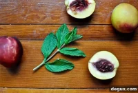 Creamy Nectarine & Mint Milkshake Recipe for Summer Refreshment