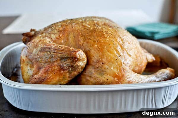 Roasted chicken