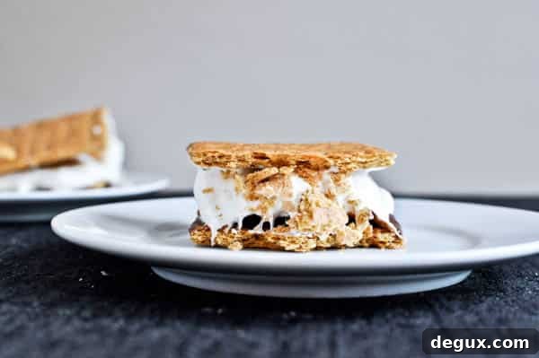Beer Marshmallow S'mores