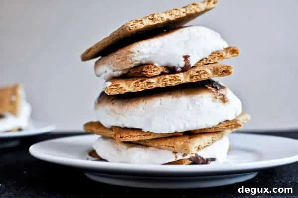 Beer Marshmallow S'mores