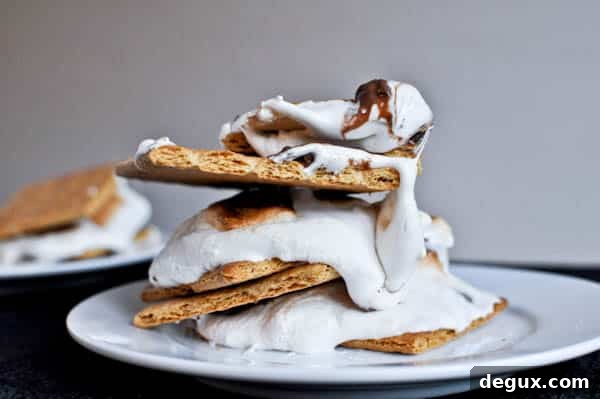 Beer Marshmallow S'mores