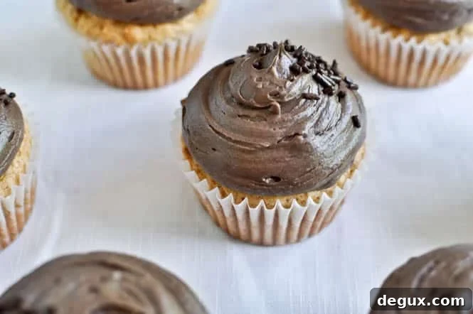 Peanut Butter Cupcakes with Chocolate Cheesecake Frosting
