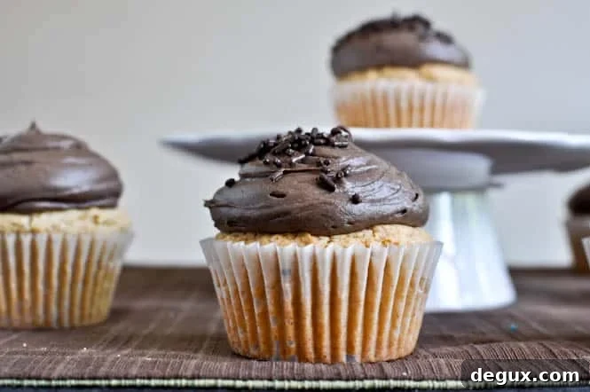 Peanut Butter Cupcakes with Chocolate Cheesecake Frosting