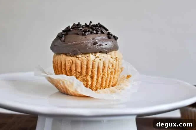 Peanut Butter Cupcakes with Chocolate Cheesecake Frosting