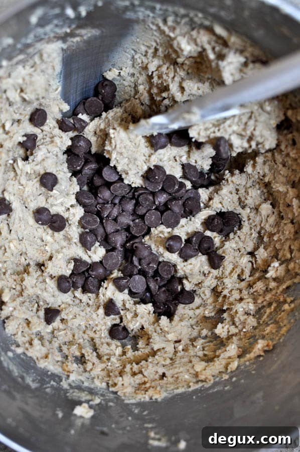 Chewy Chocolate Chip Oatmeal Cookies
