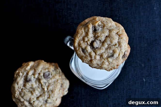 Chewy Chocolate Chip Oatmeal Cookies
