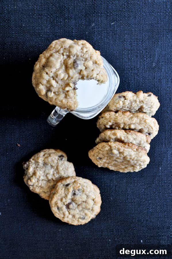 Chewy Chocolate Chip Oatmeal Cookies