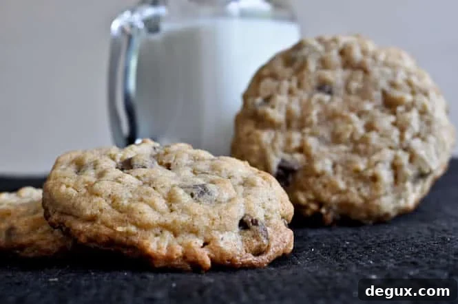 Chewy Chocolate Chip Oatmeal Cookies