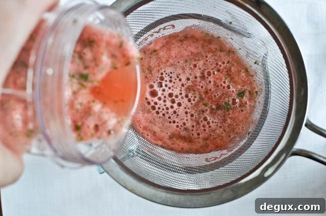 Fresh Mint and Watermelon Soda Floats