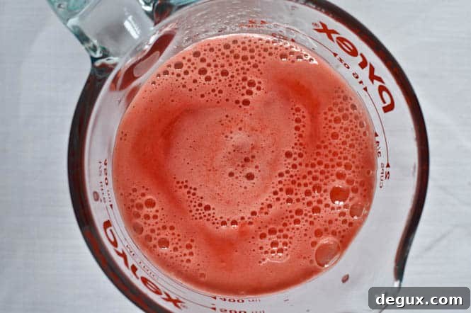 Fresh Mint and Watermelon Soda Floats