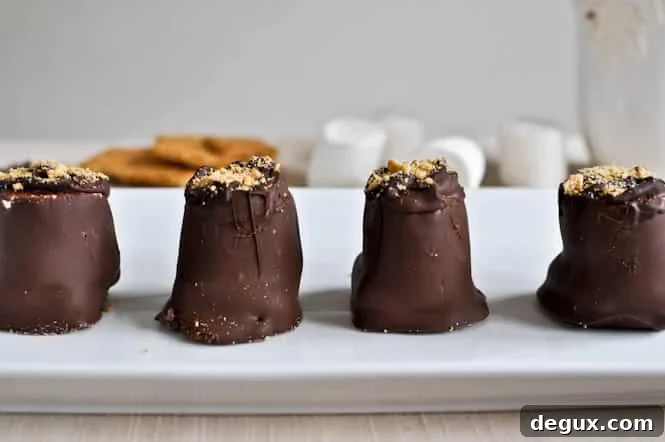 Homemade Smashing S'mores I howsweeteats.com