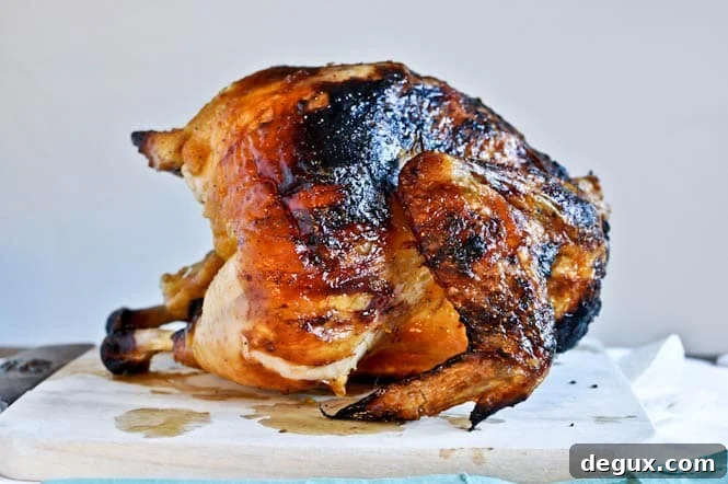 Roasted Chicken Closeup Roasted Chicken Closeup