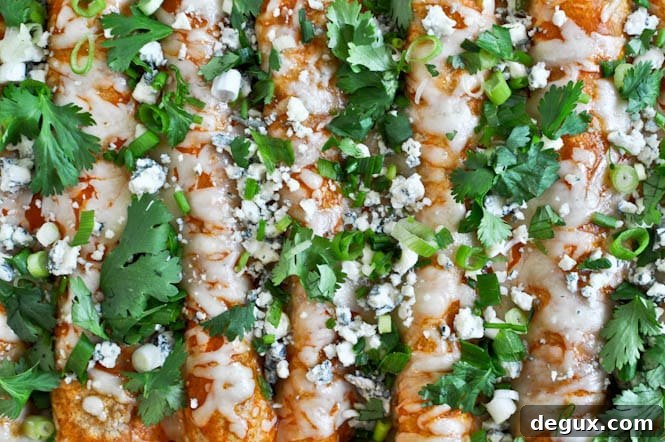 Buffalo Chicken Enchiladas I howsweeteats.com